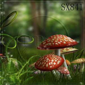 8'x8' SX841